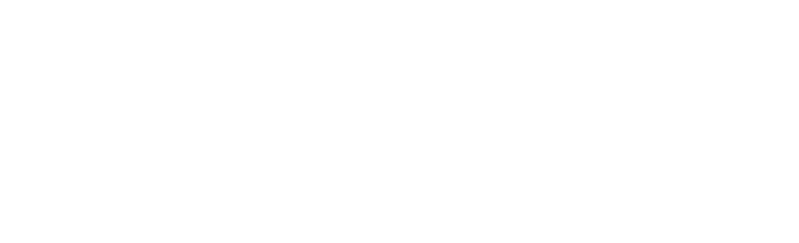 VSV Batteries